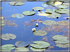 foto Lago di Fimon